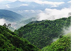 民俗民風(fēng)